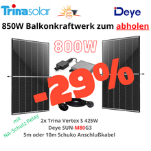 Lade das Bild in den Galerie-Viewer, 850W Balkonkraftwerk 2x 425W Trina Vertex S Modulen + Deye SUN-M80G3-EU mit NA-Schutz Box - NUR zur ABHOLUNG